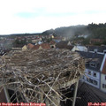 07_10-nest.jpg