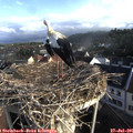 07_45-nest.jpg