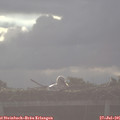 08_15-mast.jpg