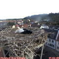 08_15-nest.jpg