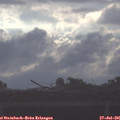 08_20-mast.jpg