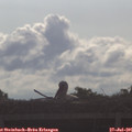 08_35-mast.jpg