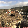 08_40-nest.jpg