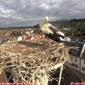 09_00-nest.jpg