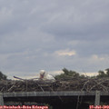 10_05-mast.jpg