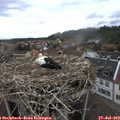 10_10-nest.jpg