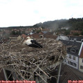 10_15-nest.jpg