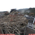 10_25-nest.jpg