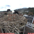 10_50-nest.jpg