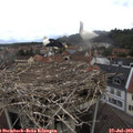 11_25-nest.jpg