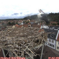 11_30-nest.jpg