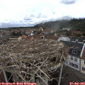 11_35-nest.jpg
