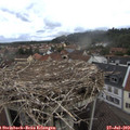 11_45-nest.jpg