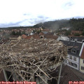 11_50-nest.jpg