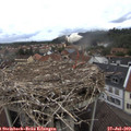 11_55-nest.jpg