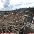 12_10-nest.jpg