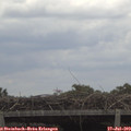 12_15-mast.jpg