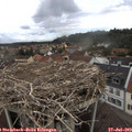 12_15-nest.jpg