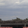 12_20-mast.jpg