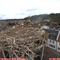 12_20-nest.jpg
