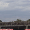 12_25-mast.jpg
