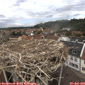 12_25-nest.jpg