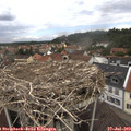 12_30-nest.jpg