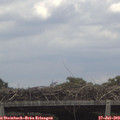 12_35-mast.jpg