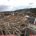 12_35-nest.jpg