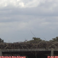 12_40-mast.jpg