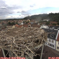 12_40-nest.jpg
