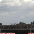 12_45-mast.jpg