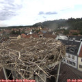 12_45-nest.jpg