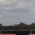 12_50-mast.jpg