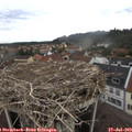 12_50-nest.jpg