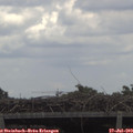 12_55-mast.jpg