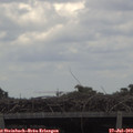 13_00-mast.jpg