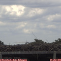 13_05-mast.jpg