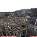 13_05-nest.jpg