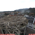 13_10-nest.jpg