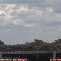 13_15-mast.jpg