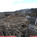 13_15-nest.jpg