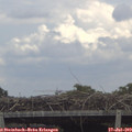 13_25-mast.jpg