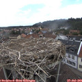 13_25-nest.jpg