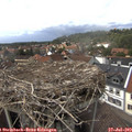 14_55-nest.jpg