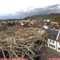 15_00-nest.jpg