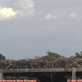 15_05-mast.jpg