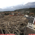 15_05-nest.jpg