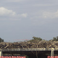 15_10-mast.jpg