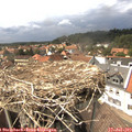 15_10-nest.jpg